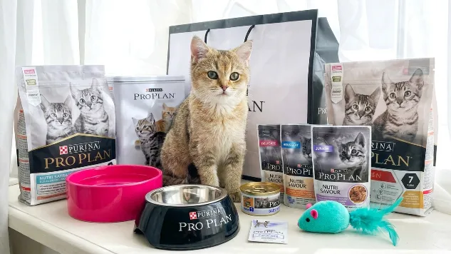 Кампания Purina Pro Plan